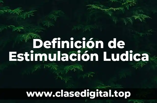 Definición de Estimulación Ludica