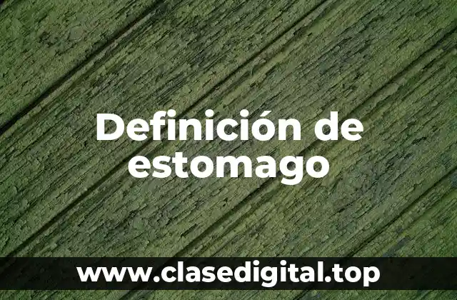 Definición técnica de estómago