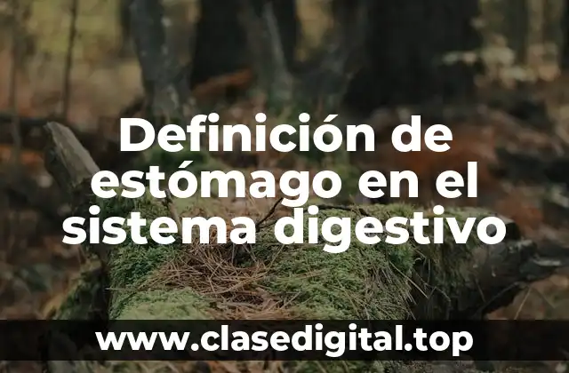 Definición de estómago en el sistema digestivo