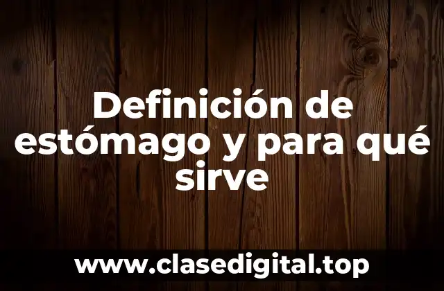 Definición de estómago y para qué sirve