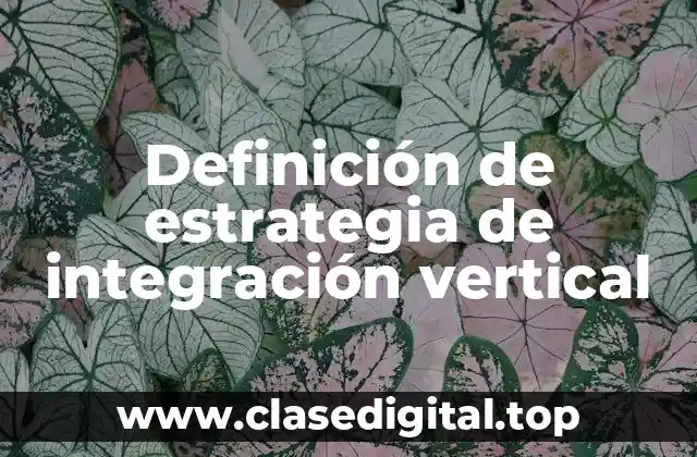 Definición de estrategia de integración vertical