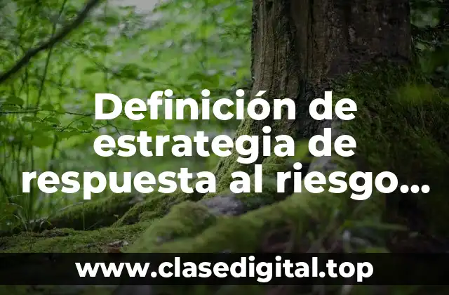 Definición de estrategia de respuesta al riesgo pmbook