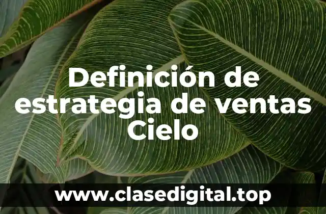 Definición de estrategia de ventas Cielo