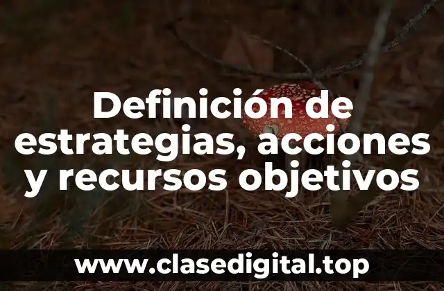 Definición de estrategias, acciones y recursos objetivos