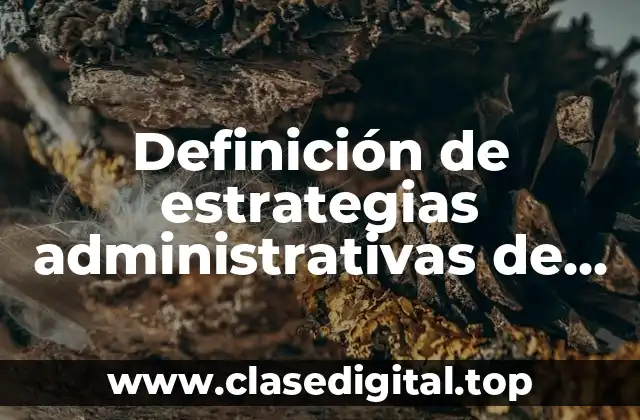 Definición de estrategias administrativas de una empresa