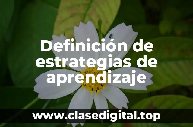 Definición de estrategias de aprendizaje