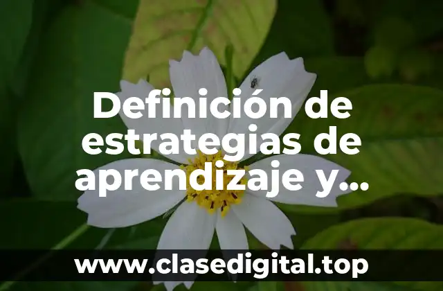 Definición de estrategias de aprendizaje y estrategias de enseñanza