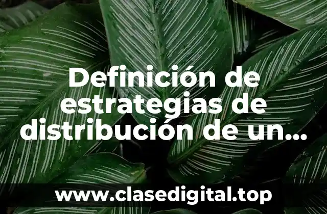 Definición de estrategias de distribución de un producto