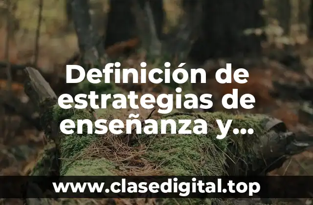 Definición técnica de estrategias de enseñanza y aprendizaje