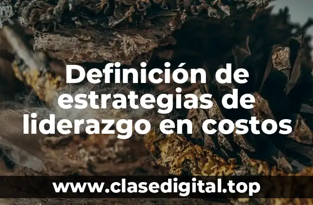 Definición de estrategias de liderazgo en costos