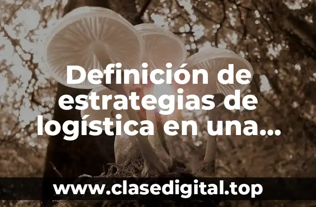 Definición de estrategias de logística en una empresa