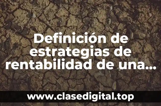 Definición de estrategias de rentabilidad de una empresa