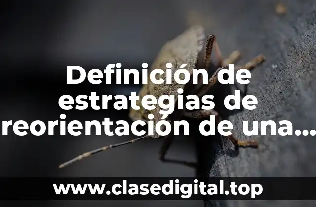 Definición de estrategias de reorientación de una empresa