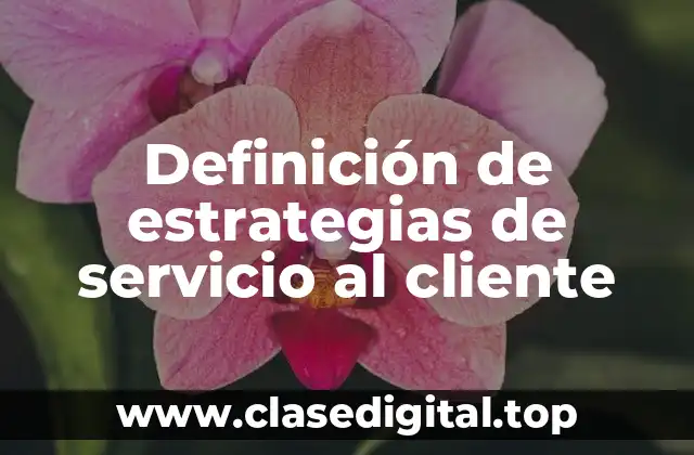 Definición de estrategias de servicio al cliente