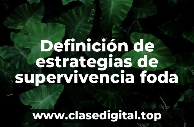 Definición de estrategias de supervivencia foda