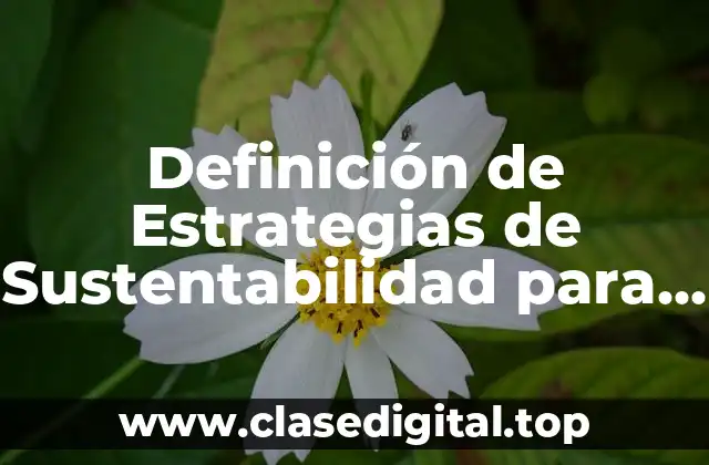 Definición de Estrategias de Sustentabilidad para el Escenario Económico