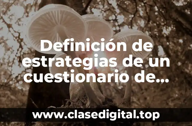 Definición de estrategias de un cuestionario de personal