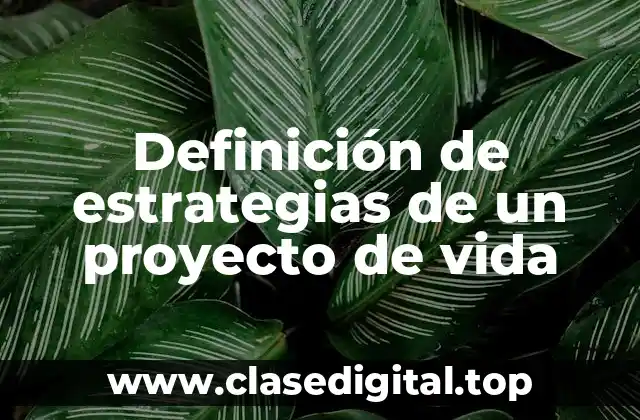 Definición de estrategias de un proyecto de vida