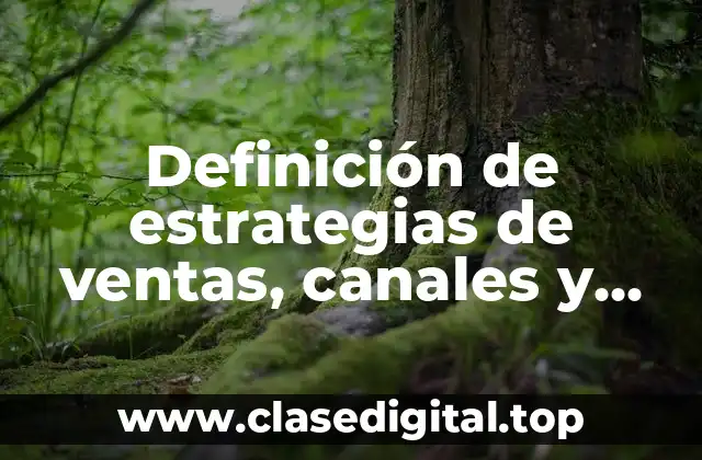 Definición de estrategias de ventas, canales y prioridades