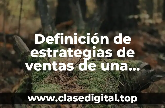 Definición de estrategias de ventas de una empresa