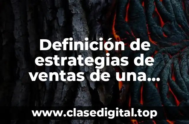 Definición de estrategias de ventas de una empresa en áreas