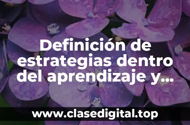 Definición de estrategias dentro del aprendizaje y enseñanza