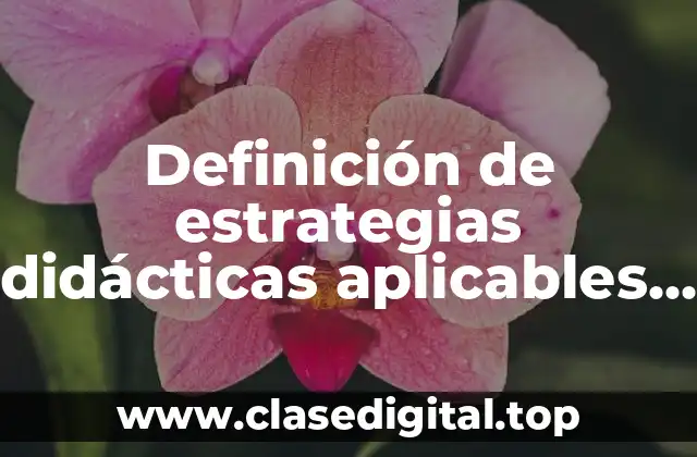 Definición de estrategias didácticas aplicables en educación básica