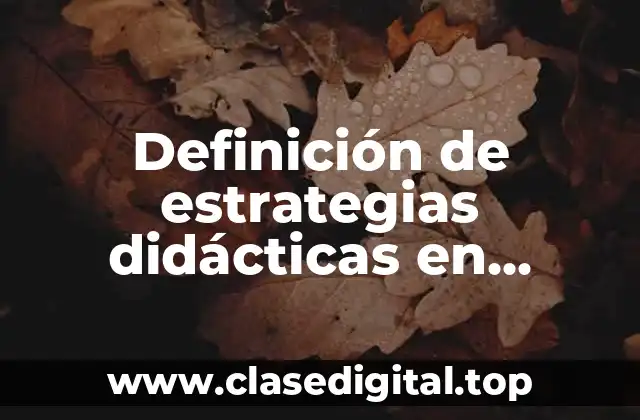 Definición de estrategias didácticas en educación física