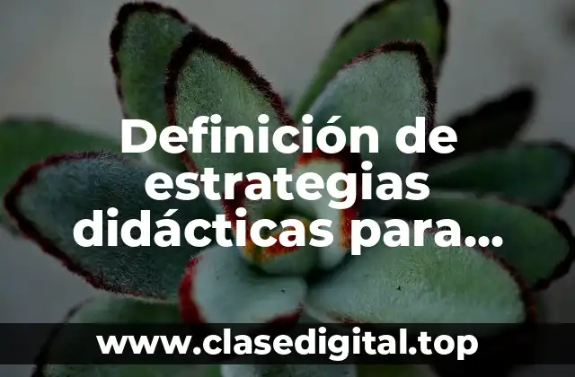 Definición de estrategias didácticas para español secundaria PPT