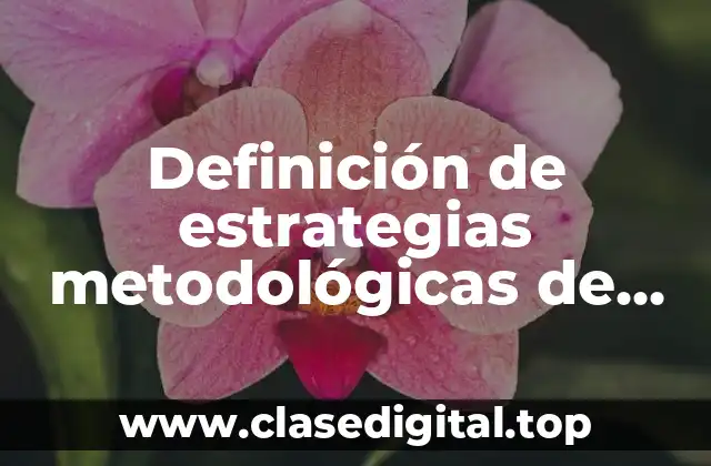Definición de estrategias metodológicas de aprendizaje