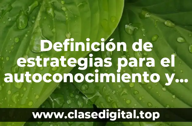 Definición de estrategias para el autoconocimiento y la autorregulación