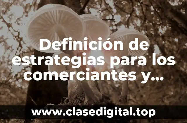 Definición de estrategias para los comerciantes y distribuidores