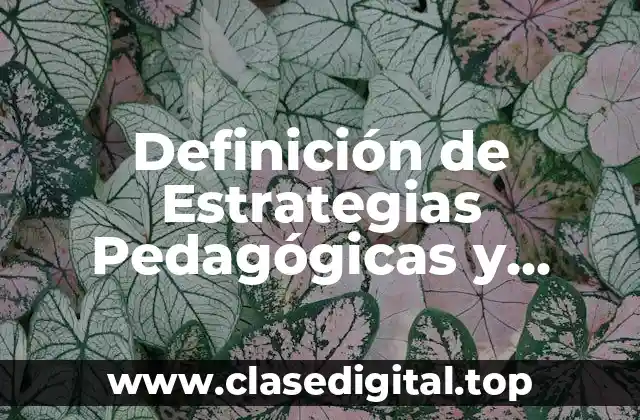 Definición de Estrategias Pedagógicas y Didácticas