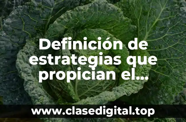 Definición de estrategias que propician el desarrollo del plan financiero