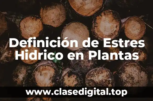 Definición de Estres Hidrico en Plantas