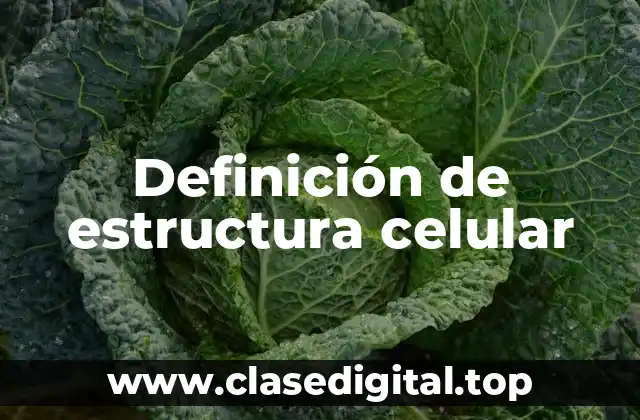 Definición de estructura celular