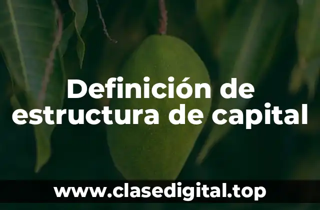 Definición de estructura de capital