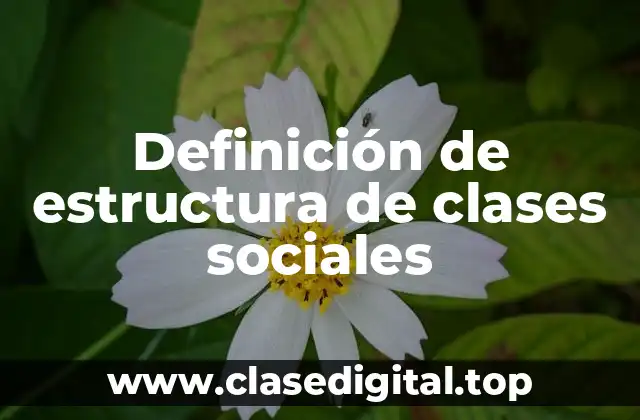 Definición de estructura de clases sociales