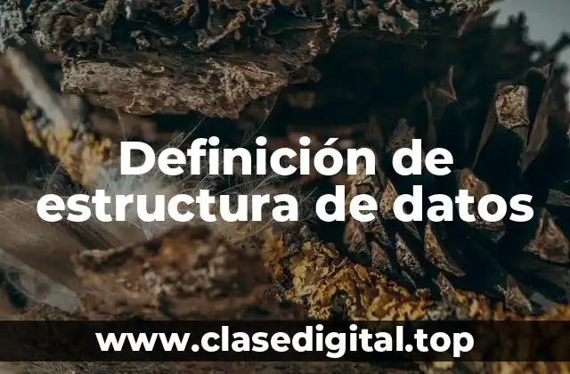 Definición de estructura de datos