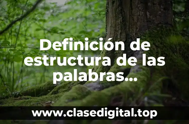 Definición de estructura de las palabras clasificación morfológicas