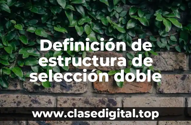 Definición de estructura de selección doble
