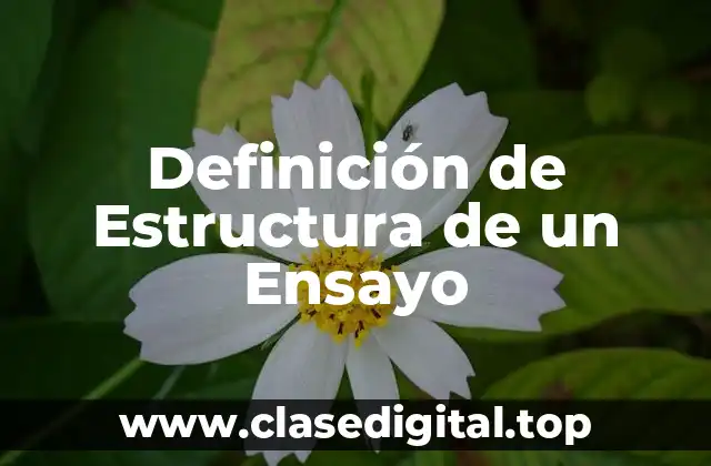 Definición de Estructura de un Ensayo