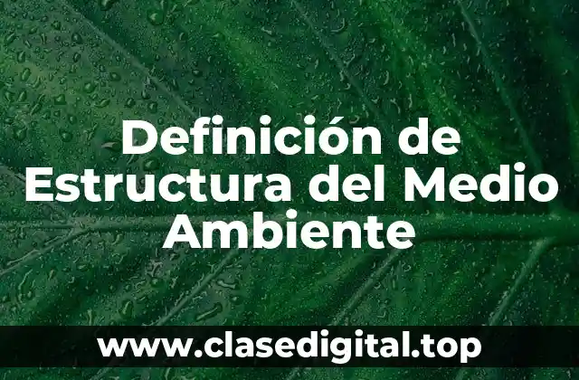 Definición de Estructura del Medio Ambiente