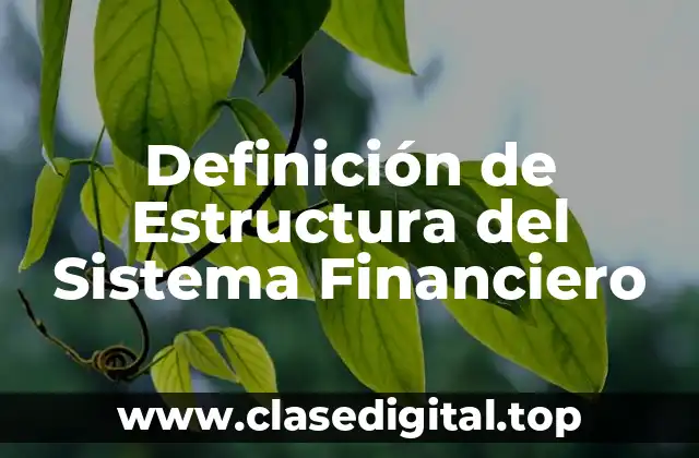 Definición técnica de estructura del sistema financiero