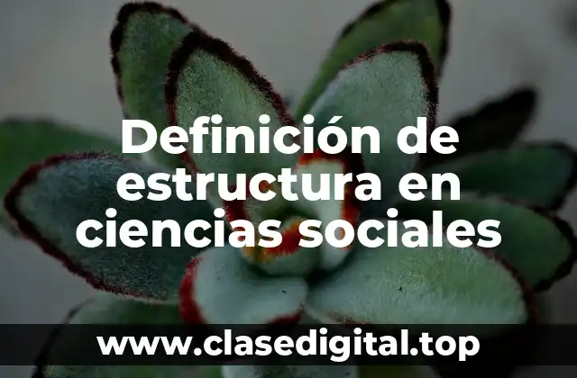 Definición de estructura en ciencias sociales