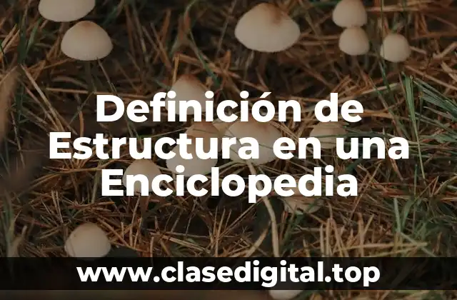 Definición de Estructura en una Enciclopedia