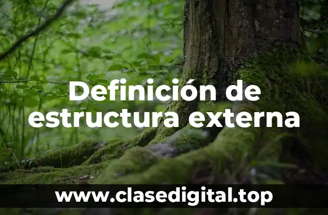 Definición técnica de estructura externa