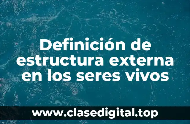 Definición de estructura externa en los seres vivos