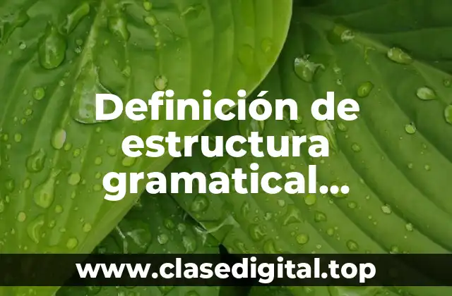 Definición de estructura gramatical afirmativa negativa interrogativa en inglés