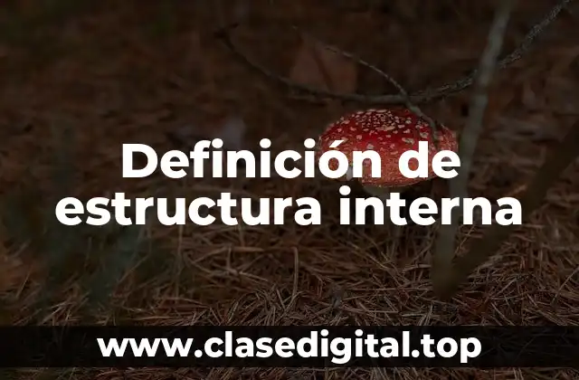 Definición de estructura interna